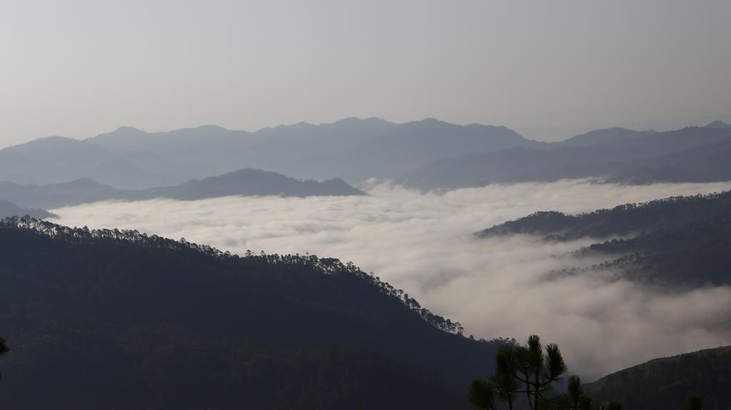 Ram Singh Mehra Guest House Almora Buitenkant foto